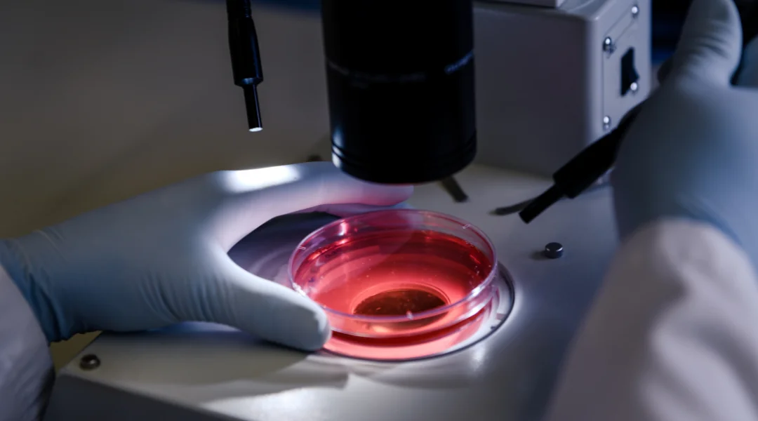 Cytology