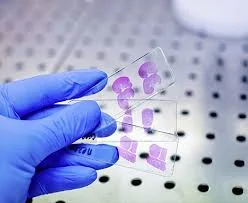 Histopathology