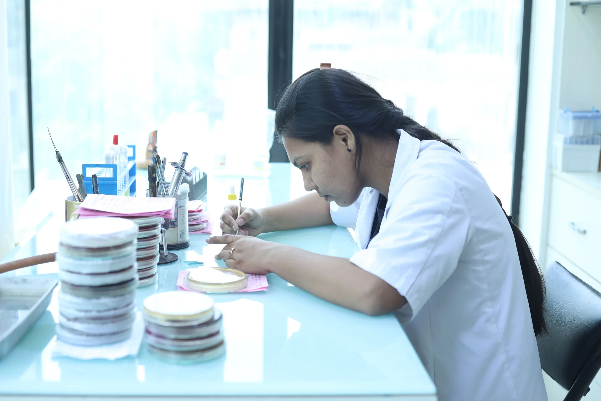 Microbiology laboratory section